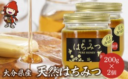 【ふるさと納税】天然はちみつ 200g 2個 国産 日本 蜂蜜 非加熱 はちみつ ハチミツ 百花蜂蜜 大分県産 九州産 中津市