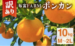 【ふるさと納税】訳ありポンカン　M〜２Lサイズ  10kg　NT3