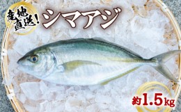 【ふるさと納税】シマアジ 約1.5kg 1尾 しまあじ 縞鯵 高級魚 鮮魚 産地直送 冷蔵 養殖 国産 数量限定