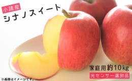 【ふるさと納税】信州小諸産 シナノスイート 家庭用 約10kg 長野県産 果物類 林檎 りんご リンゴ