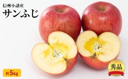 【ふるさと納税】信州小諸産 サンふじりんご 秀品 約5kg 長野県産 果物類 林檎 りんご リンゴ