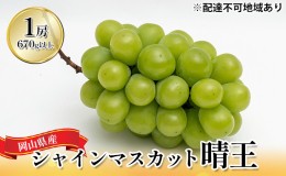 【ふるさと納税】ぶどう 2024年 先行予約 シャイン マスカット 晴王 1房（1房670g以上）化粧箱入り マスカット ブドウ 葡萄  岡山県産 国