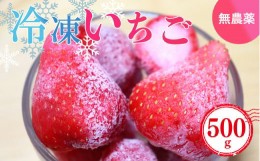 【ふるさと納税】冷凍いちご 約500g (100gx5パック)   | フルーツ くだもの 果物 いちご イチゴ  冷凍 奈良県 五條市