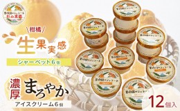 【ふるさと納税】果樹園のジェラート 柑橘食べ比べ12個セット 100ml×12個 冷凍 ギフト アイスクリーム シャーベット