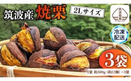 【ふるさと納税】筑波産の焼栗 3袋 約300g×3 栗 くり 焼栗 おやつ スイーツ 茨城 和栗 果物 フルーツ 秋 茨城県産 [EK005sa]