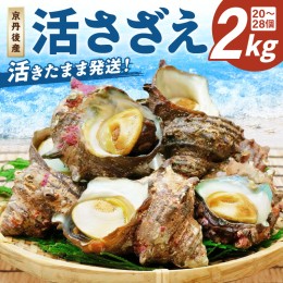 【ふるさと納税】最高鮮度の生きたまま発送！日本海荒波育ち京丹後産さざえ2kg/北畿水産