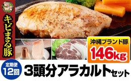 【ふるさと納税】【定期便:12回】沖縄キビまる豚３頭分アラカルトセット（約146kg）