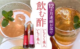 【ふるさと納税】【全12回定期便】＜いちじく美人・いちご美人＞ 飲む酢 2本 セット《豊前市》【株式会社ワカヤマ】地産 福岡 万能 調味