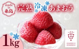 【ふるさと納税】完熟冷凍あまおう 1kg 糸島市 / slowberry strawberry [APJ006]