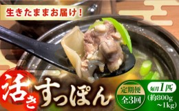 【ふるさと納税】【全3回定期便】【生きたまま届く最高級食材！安心安全な国産！ 江田島育ちのすっぽん【活き】すっぽん 魚介 唐揚げ 新