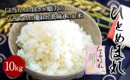 【ふるさと納税】【令和5年産】 大分県産 ひとめぼれ 10kg 精米 お米