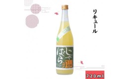 【ふるさと納税】▼じゃばら酒　720ml 【sta705-rk-jya】