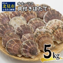 【ふるさと納税】【予約：2024年3月下旬から順次発送】オホーツク貝付きほたて 5kg(30枚〜50枚)( 海鮮 魚介 魚介類 貝 貝類 ホタテ ほた