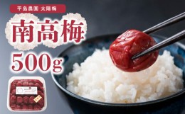 【ふるさと納税】南高梅500ｇ