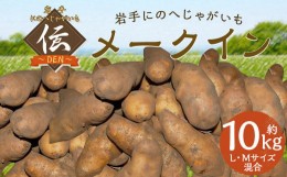 【ふるさと納税】【厳選品】岩手にのへじゃがいも「伝」メークイン (L・Mサイズ) 10kg 【2024年9月中旬から2025年2月下旬発送予定】