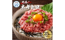 【ふるさと納税】まぐろのネギトロ1食80g個食用25食分（約2000g）合計2kg 小分けパック 大容量 大量 高知県 返礼品 20000円 海鮮 まぐろ 