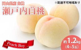 【ふるさと納税】桃 2024年 先行予約 瀬戸内 白桃 約1.2kg 4〜5玉 岡山県 フルーツ もも 桃 モモ ピーチ 人気 新鮮 フルーツ 桃 デザート