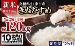 【ふるさと納税】【定期便12か月】 島根県 江津市産 邑智郡産  きぬむすめ 10？×12回【合計120kg】令和5年産 新米 白米【10営業日以内配