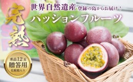 【ふるさと納税】《奄美大島産パッションフルーツ》贈答用化粧箱入り1kg(12玉入り)