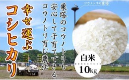 【ふるさと納税】お米 10kg（白米）幸せ運ぶ コシヒカリ 兵庫県豊岡市産