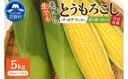 【ふるさと納税】≪2024年 先行予約≫富士北麓忍野村の気候、水、自然で作られた朝採りトウモロコシ（ゴールドラッシュ・ピーターコーン