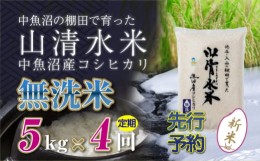 【ふるさと納税】【新米先行受付】【定期便／全4回】無洗米5kg　新潟県魚沼産コシヒカリ「山清水米」