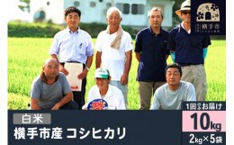 【ふるさと納税】【令和5年産】【白米】令和5年産 横手産コシヒカリ 10kg(2kg×5袋)