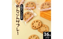 【ふるさと納税】れんこんサブレー(36枚入り)｜茨城県土浦市の特産品であるレンコンを乾燥させて加工した、レンコンパウダーを使用。本物