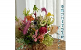 【ふるさと納税】季節のおすすめ生花アレンジメントL  1個【らんまん 花 植物 お花 アレンジメント 高知 人気 おすすめ 送料無料】