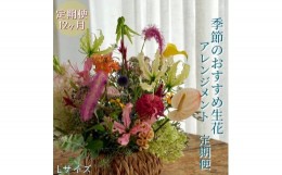 【ふるさと納税】《定期便12ヵ月》おすすめ生花アレンジメントL【らんまん 花 植物 お花 アレンジメント 高知 人気 おすすめ 送料無料】