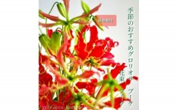 【ふるさと納税】生花グロリオサ花束 ブーケ 1束【らんまん 花 植物 お花 アレンジメント 高知 人気 おすすめ 送料無料】