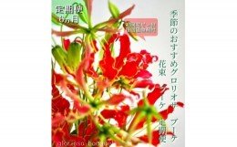 【ふるさと納税】《定期便 6ヵ月》生花グロリオサ花束 ブーケ 初回花瓶付【らんまん 花 植物 お花 アレンジメント 高知 人気 おすすめ 送