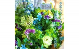 【ふるさと納税】《定期便 6ヵ月》生花ナチュラル花束 ブーケ初回花瓶付【らんまん 花 植物 お花 アレンジメント 高知 人気 おすすめ 送