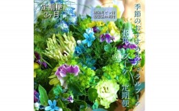 【ふるさと納税】《定期便 3ヵ月》生花ナチュラル花束 ブーケ初回花瓶付【らんまん 花 植物 お花 アレンジメント 高知 人気 おすすめ 送