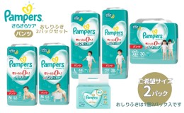 【ふるさと納税】[パンツタイプ] パンパース 「 さらさらケア 」 2パックと おしりふき 2パック[ Pampers おむつ オムツ ]