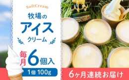 【ふるさと納税】【全6回定期便】牧場の アイスクリーム セット ( 100g × 6個 ) / アイス ソフトクリーム ミルク デザート スイーツ お