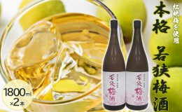 【ふるさと納税】福井県産 紅映梅を使用した本格梅酒 若狭梅酒（1800ml）2本セット　