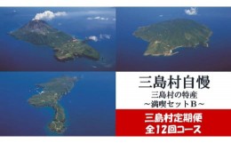 【ふるさと納税】【定期便】三島村自慢　三島村の特産満喫セット（年12回お届け）B