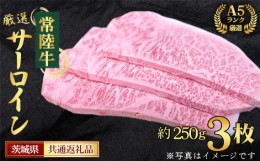 【ふるさと納税】No.460 【常陸牛】A5ランク厳選サーロイン（ステーキ用）約250g×3枚＜茨城県共通返礼品＞ ／ お肉 霜降り 赤身 茨城県