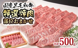 【ふるさと納税】黒毛和牛 希少部位を含む特選焼肉 500g＜1.5-223＞焼肉用 牛肉