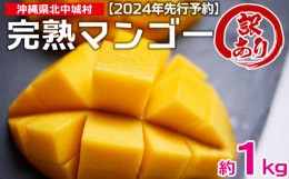 【ふるさと納税】【2024年発送】訳あり品！沖縄県北中城村　完熟マンゴー約1kg【先行予約】沖縄 果物 訳あり フルーツ くだもの 数量限定