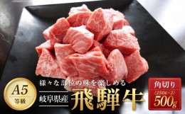 【ふるさと納税】飛騨牛Ａ5 角切り 500ｇ｜国産 肉 牛肉 和牛 黒毛和牛  A5等 級 グルメ おすすめ AD105【飛騨牛 和牛ブランド 飛騨牛 黒