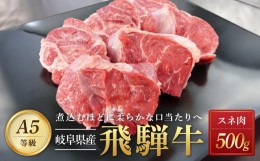 【ふるさと納税】飛騨牛 Ａ5 スネ肉 カット 500ｇ｜国産 肉 牛肉 和牛 黒毛和牛  A5等級 グルメ おすすめ AD106【飛騨牛 和牛ブランド 飛