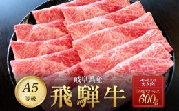 【ふるさと納税】飛騨牛Ａ5 赤身肉 スライス 600g（300g×2パック）モモ 又は カタ 肉 ｜国産 肉 牛肉 焼肉 すき焼き しゃぶしゃぶ 和牛 