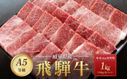 【ふるさと納税】飛騨牛Ａ5 赤身肉 焼肉用 1kg（500g×2パック） モモ 又は カタ 肉 ｜国産 肉 牛肉 焼肉 和牛 黒毛和牛 赤身 グルメ A5