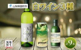 【ふるさと納税】白ワイン 瓶 缶 飲み比べ 瓶1本+缶2種8本 モンデ酒造 177-4-046