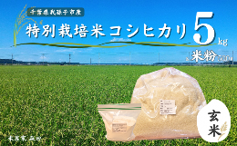 【ふるさと納税】冷めても美味しい！ 特別栽培米 コシヒカリ 5kg（玄米）と米粉のセット 農家直送 千葉県産