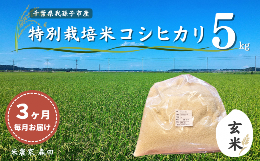 【ふるさと納税】【毎月定期便3回】冷めても美味しい！ 特別栽培米 コシヒカリ 5kg×3回 計15kg（玄米） 農家直送 千葉県産