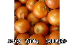 【ふるさと納税】先行予約 玉ねぎ 約10kg（岡山県産） 晴れの国ファーム