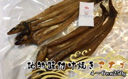 【ふるさと納税】宇野沖産 地物 味付け 焼き アナゴ  4〜6匹 約250g（ タレ 付き） 玉野魚市場 穴子 海鮮 新鮮 冷凍 真空パック 茹でる